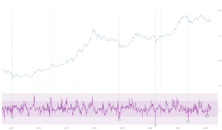 in-search-of-surrender-|-on-chain-forecast