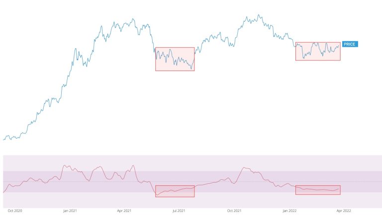 taming-of-bears-|-on-chain-forecast